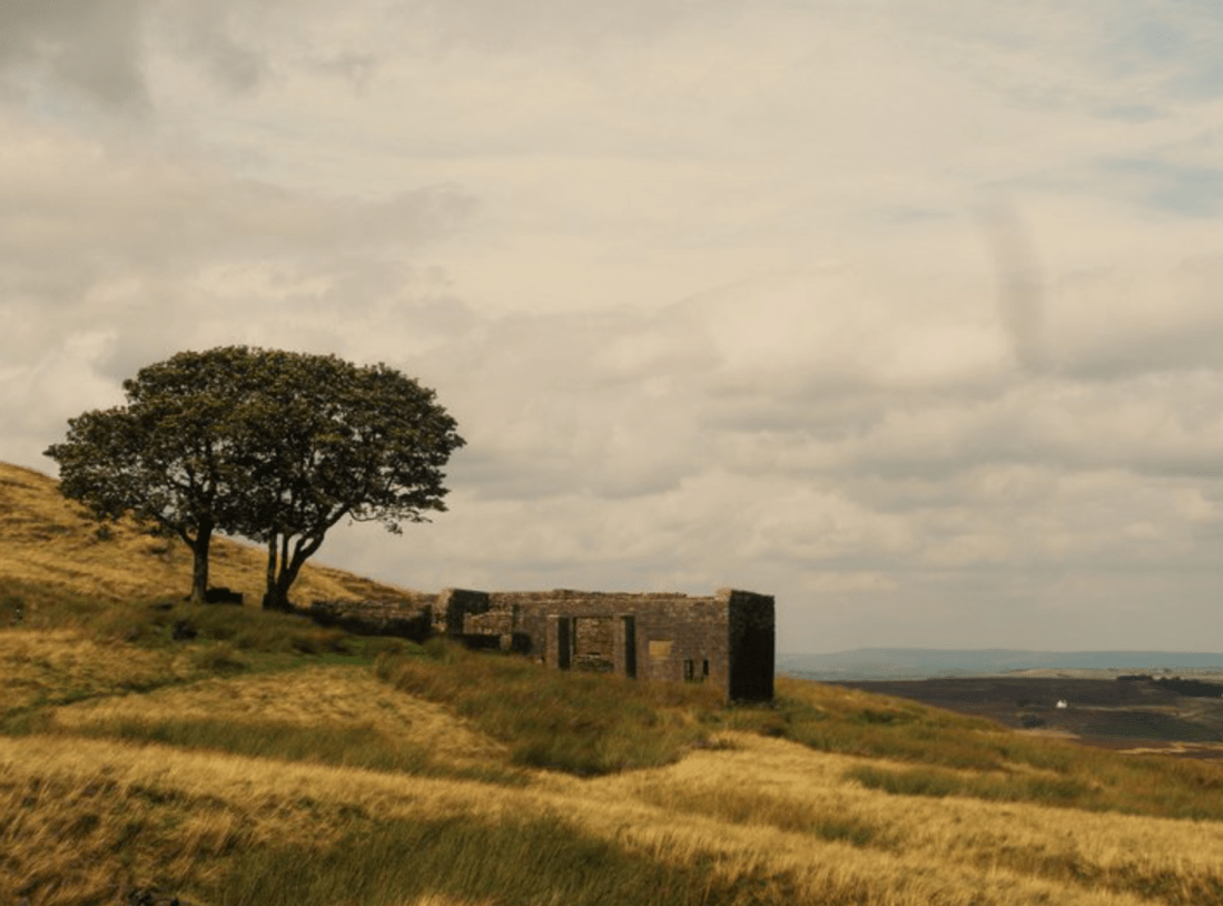 Screen Shot 2018-01-26 at 12.01.27